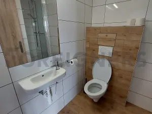 Pronájem bytu 1+kk, Olomouc, Ztracená, 25 m2