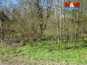 Prodej pozemku pro bydlení, Brzice, 1453 m2