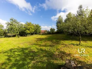 Prodej pozemku, Sklené nad Oslavou, 1170 m2