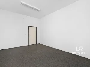 Pronájem obchodního prostoru, Brno - Staré Brno, Zahradnická, 32 m2