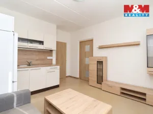 Prodej bytu 1+1, Chodov, U Porcelánky, 36 m2