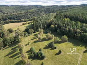 Prodej chaty, Pohledy - Horní Hynčina, 90 m2