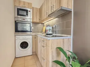 Pronájem bytu 1+1, Praha - Staré Město, Národní, 43 m2