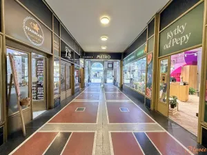 Pronájem bytu 1+1, Praha - Staré Město, Národní, 43 m2