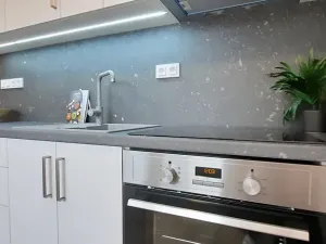 Pronájem bytu 1+1, Brno, Fričova, 46 m2