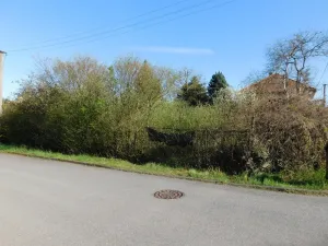 Prodej pozemku, Lhota, 3645 m2