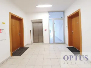 Pronájem bytu 2+kk, Praha - Vinohrady, Korunní, 76 m2