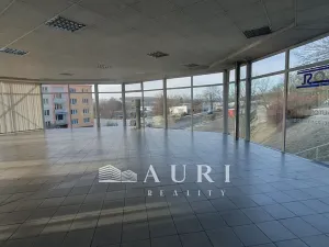 Prodej obchodního prostoru, Rakovník, Dukel. hrdinů, 412 m2