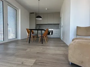 Pronájem bytu 4+kk, Brandýs nad Labem-Stará Boleslav, Josefa Truhláře, 83 m2