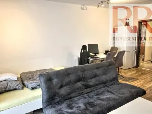 Pronájem bytu 1+kk, Plzeň, U Borských kasáren, 40 m2