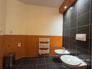 Prodej bytu 1+1, Brno, Čápkova, 54 m2