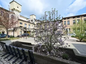 Pronájem ordinace, Hradec Králové, Pospíšilova, 49 m2