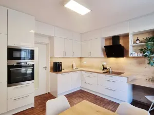 Pronájem bytu 1+1, Brno, Tučkova, 44 m2