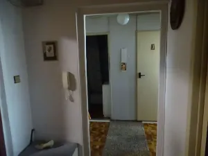 Prodej bytu 1+1, Ostrava, Lumírova, 44 m2