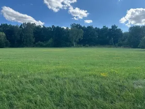 Prodej pozemku pro bydlení, Albrechtice nad Vltavou, 5665 m2