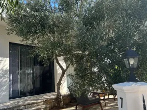 Prodej vily, Žaborić, Chorvatsko, 500 m2