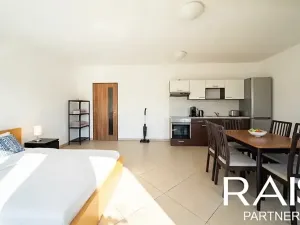 Prodej bytu 1+kk, Brno, Vranovská, 55 m2