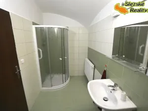 Pronájem bytu 2+kk, Janovice, 70 m2