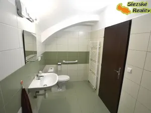 Pronájem bytu 2+kk, Janovice, 70 m2