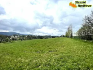 Pronájem bytu 2+kk, Janovice, 70 m2