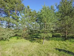 Prodej zahrady, Mělník, 9817 m2