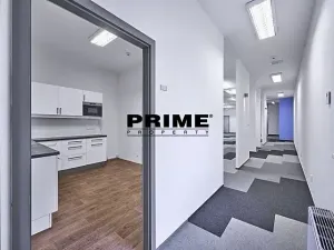 Pronájem kanceláře, Praha - Nové Město, Soukenická, 246 m2