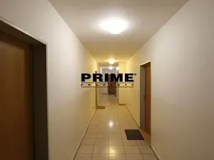 Pronájem bytu 2+kk, Praha - Žižkov, Jeseniova, 57 m2