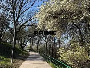 Pronájem bytu 2+kk, Praha - Žižkov, Jeseniova, 57 m2