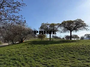 Pronájem bytu 2+kk, Praha - Žižkov, Jeseniova, 57 m2