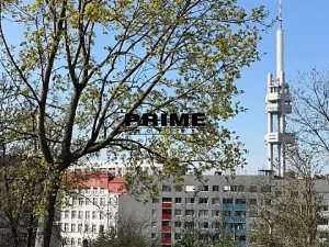 Pronájem bytu 2+kk, Praha - Žižkov, Jeseniova, 57 m2