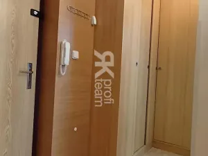 Pronájem bytu 1+1, Ostrava, Lužická, 39 m2