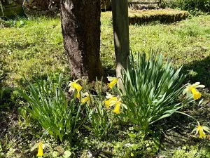 Prodej chaty, Jistebnice, 50 m2