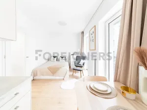 Pronájem bytu 1+kk, Brno, Spolková, 28 m2