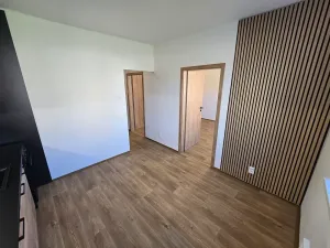 Prodej bytu 1+1, Frýdlant, Čapkova, 40 m2