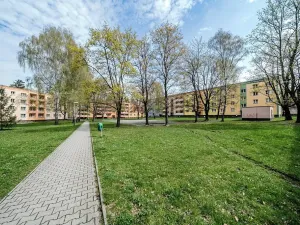 Prodej bytu 2+1, Ostrava, Krasnoarmejců, 58 m2