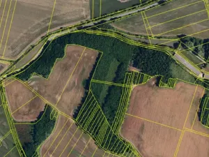 Prodej lesa, Rybníky, 3133 m2