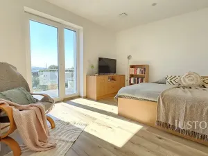 Prodej rodinného domu, Písek, Nová, 276 m2