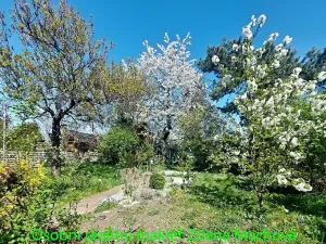 Prodej zahrady, Praha, Na Balkáně, 250 m2