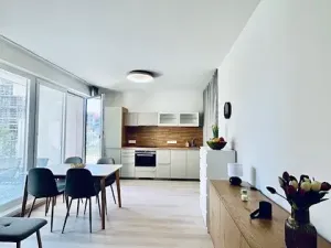 Pronájem bytu 1+kk, Praha - Vysočany, Gerstelova, 41 m2