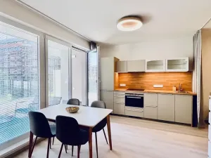 Pronájem bytu 1+kk, Praha - Vysočany, Gerstelova, 41 m2