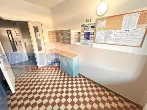 Pronájem bytu 2+1, Plzeň, Pod Vrchem, 50 m2