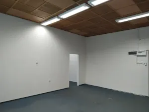 Pronájem kanceláře, Brno, Cejl, 56 m2