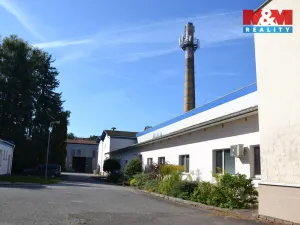 Prodej výrobních prostor, Miletín, Lhotova, 22000 m2