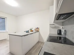 Pronájem bytu 3+kk, Mladá Boleslav, Žižkova, 90 m2