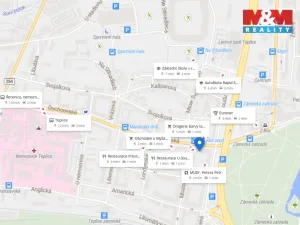 Prodej bytu 3+kk, Teplice, Duchcovská, 191 m2