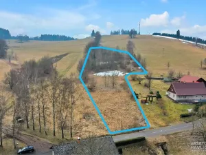 Prodej komerčního pozemku, Bartošovice v Orlických horách, 7647 m2