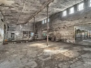 Prodej komerčního pozemku, Jasenná, 22131 m2