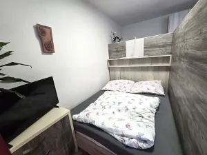 Pronájem bytu 1+kk, Bílovice nad Svitavou, Šebelova, 35 m2