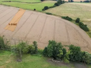 Prodej pole, Srby, 44796 m2