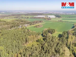 Prodej lesa, Losiná, 2645 m2